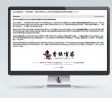 龙少php版批量单页站群软件