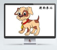 搜狗自动养站程序：基于懒人站群程序V2.4.1
